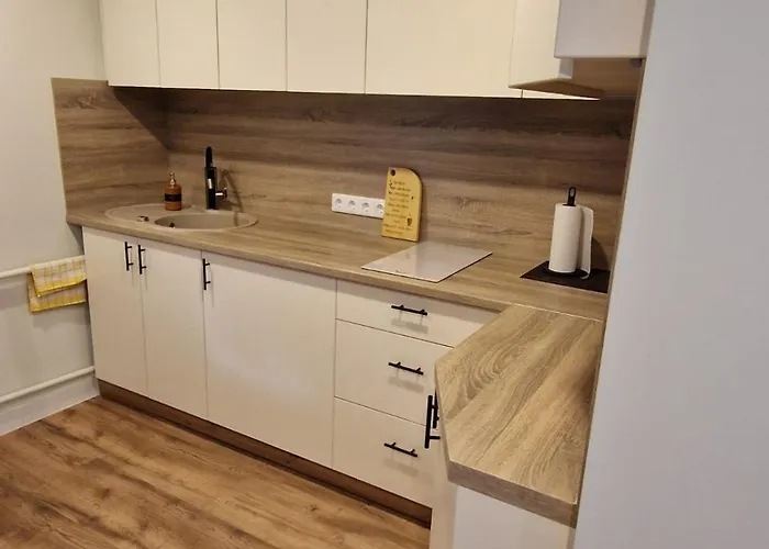 Brivdienu Maja Vecdaugava Riga