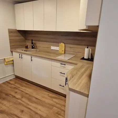 Brivdienu Maja Vecdaugava 里加